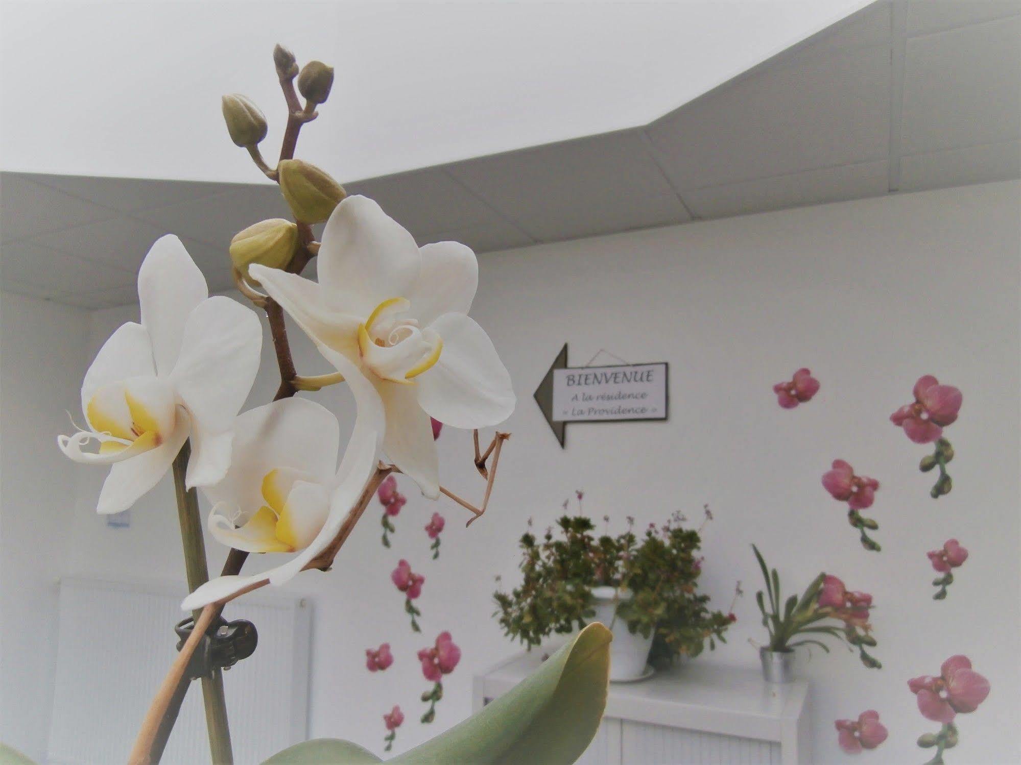 Residence La Providence Zenao ליזיו מראה חיצוני תמונה